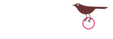 סטודיו שרית בניה ועיצוב אתרים